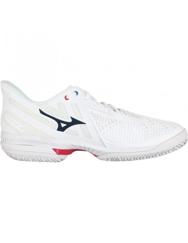 Tennisschuhe Mizuno Herren Wave Exceed Tour All Court 