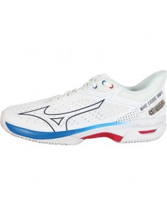 Tennissko til Mænd Mizuno Wave Exceed Tour All Court 
