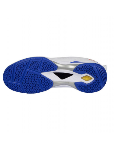Apacs Pro 776 Badminton Shoes (White/Blue) 