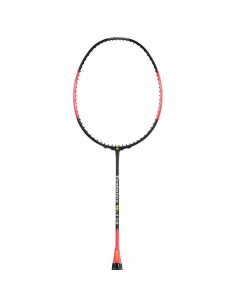 Badmintonketsjer Lestee Apacs Training 120 gr (uden strenge) 