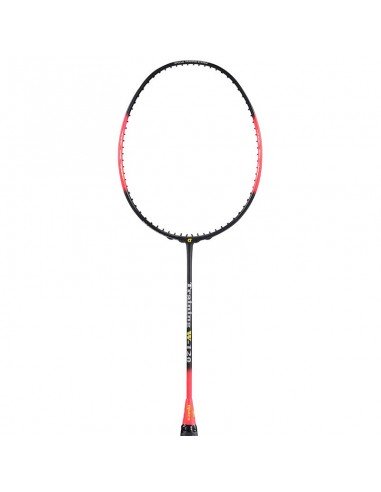 Badmintonketsjer Lestee Apacs Training 120 gr (uden strenge) 