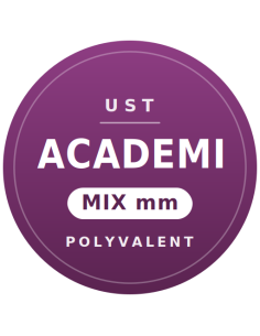 UST ACADEMI