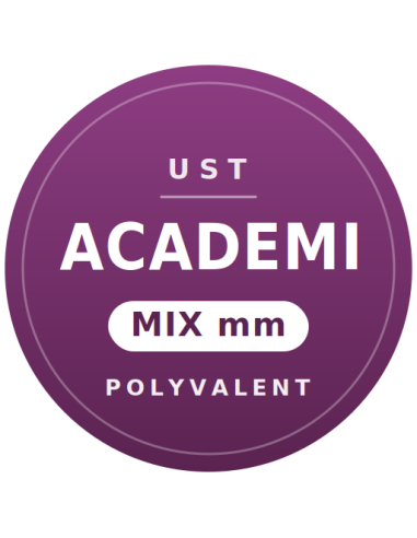 UST ACADEMI
