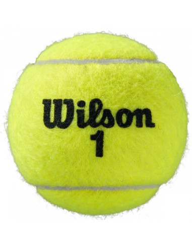 Wilson Roland Garros All Court Tennisbolde 4-Pack 