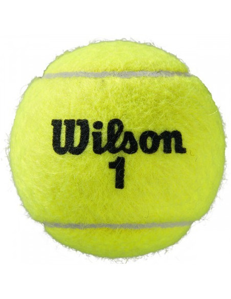 Wilson Roland Garros All Court Tennisbolde 4-Pack 