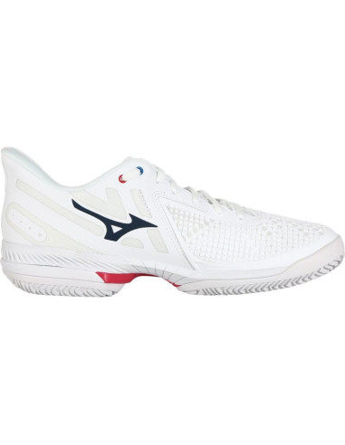 Chaussures Tennis Mizuno Homme Wave Exceed Tour All Court