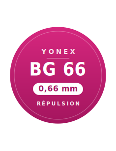 Yonex set BG66