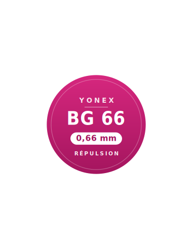 Yonex set BG66