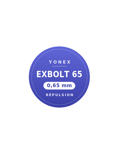 Yonex Set Exbolt 65