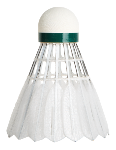 Volants de badminton Victor CarbonSonic NCS