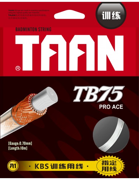 TAAN TB 75 SET Badminton Racket 