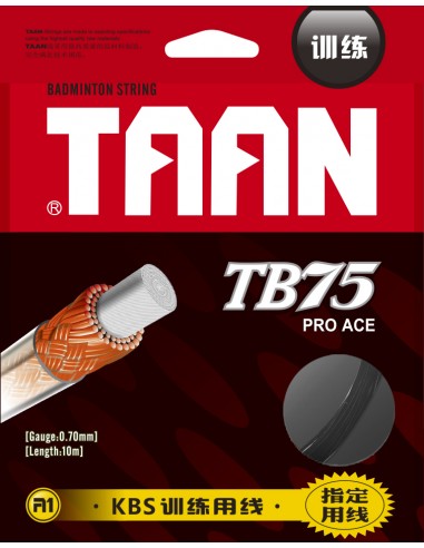 TAAN TB 75 SET Badminton Racket  TAAN TB 75 SET Badminton Racket